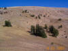 trailwork