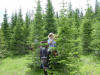 trailwork