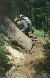 trailwork