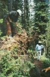 trailwork