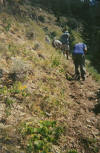 trailwork
