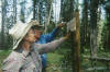 trailwork
