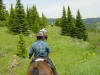 trailwork