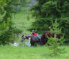 trailwork