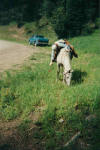 trailwork