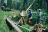trailwork