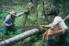 trailwork