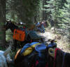 trail1