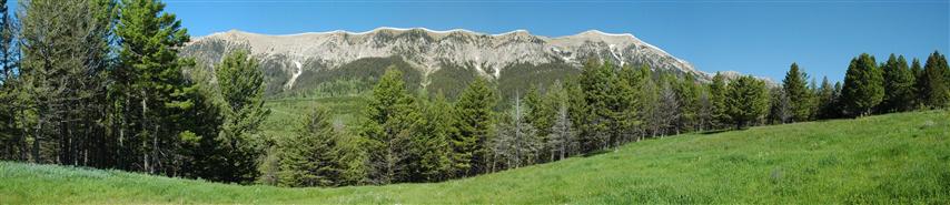bridgers